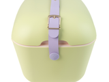 Polarbox Pop Limette-Flieder 20L